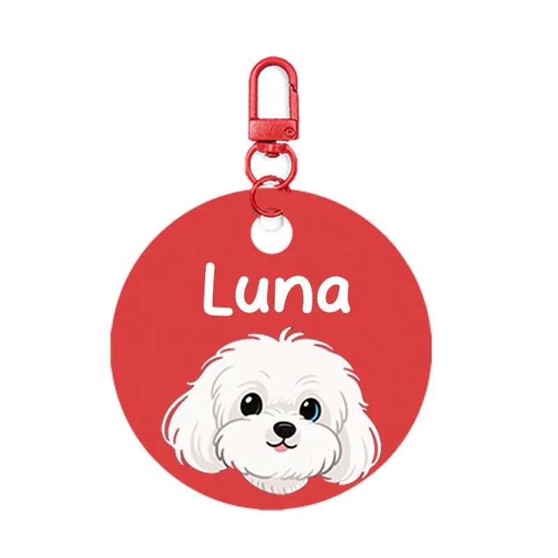 PawAvatar Tag™ – Placa de Identificación con Diseño Animado Personalizado