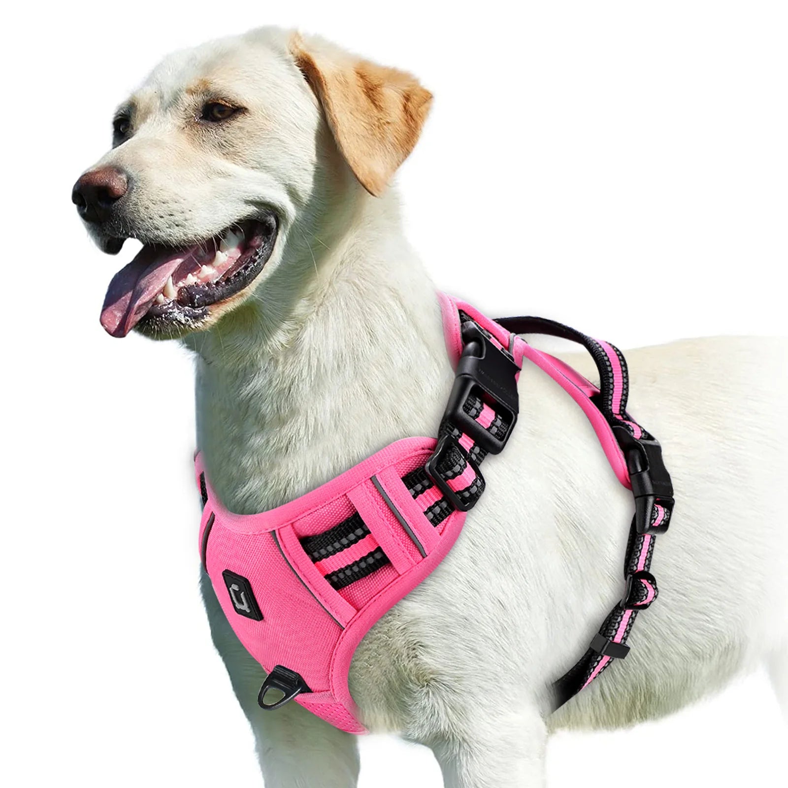 NoPullPro™ – Arnés Antitirones Acolchado para Perros