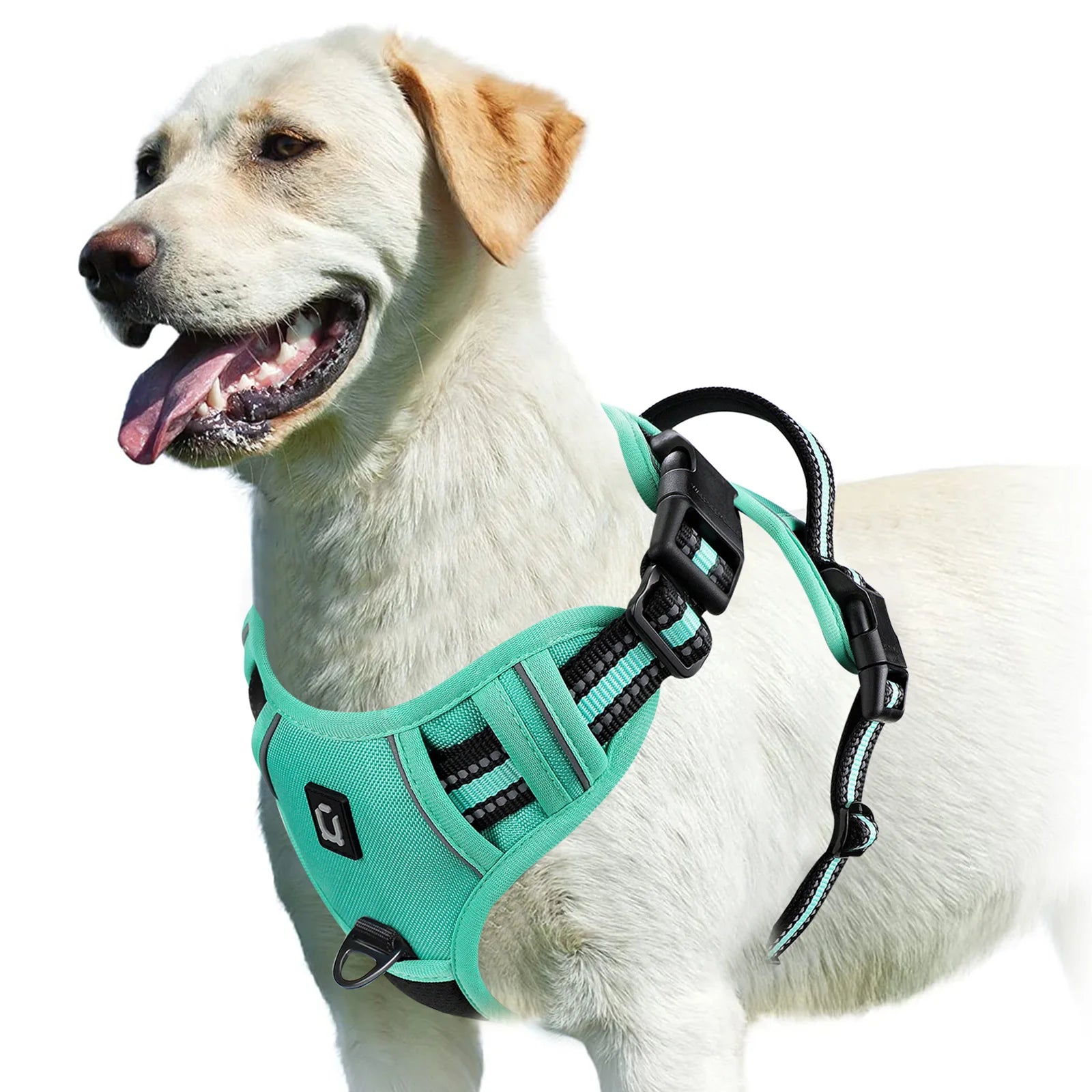 NoPullPro™ – Arnés Antitirones Acolchado para Perros