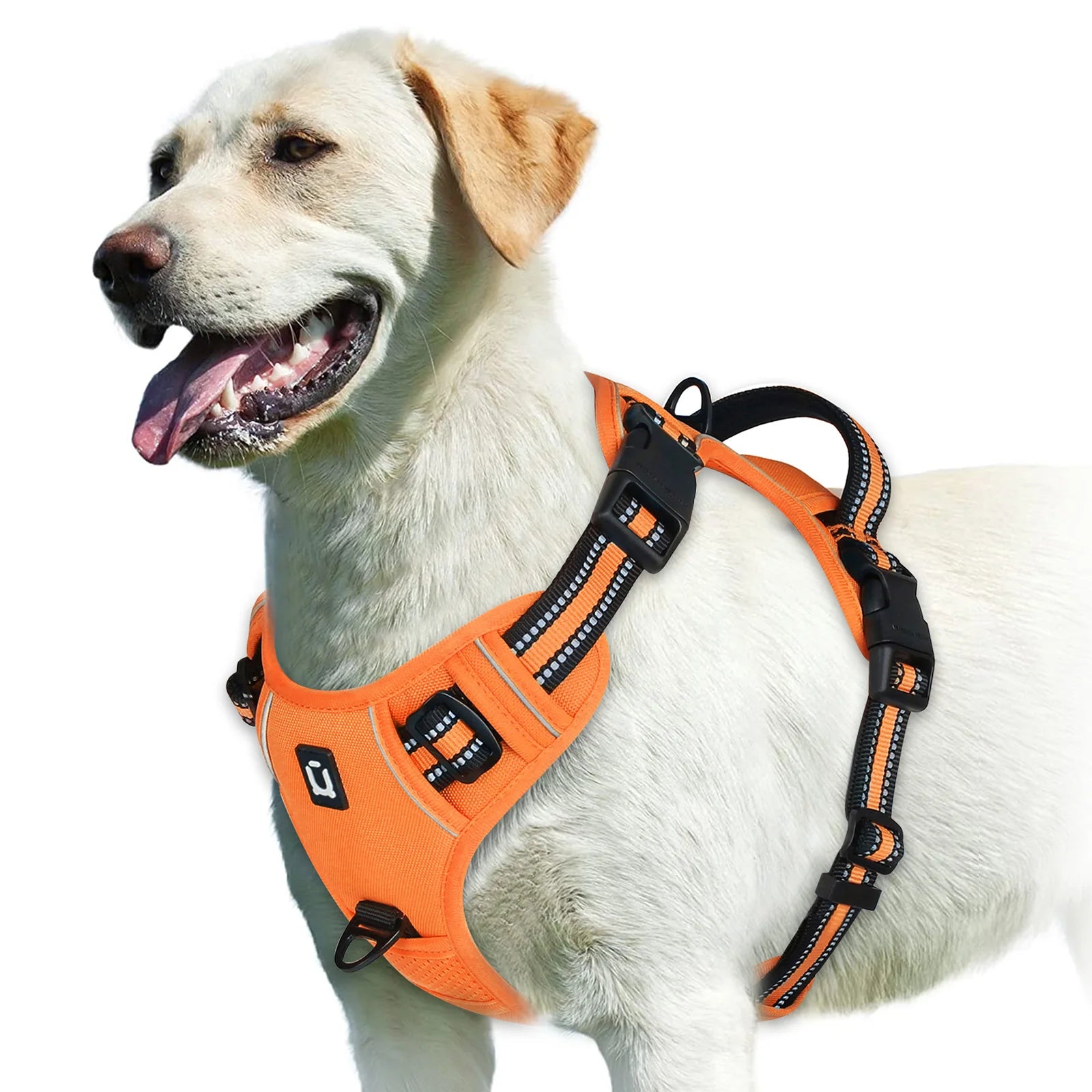NoPullPro™ – Arnés Antitirones Acolchado para Perros