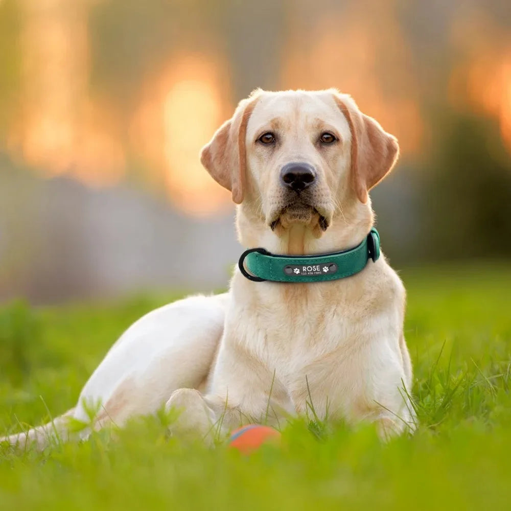 PetName™ – Collar Personalizado de Cuero para Perros