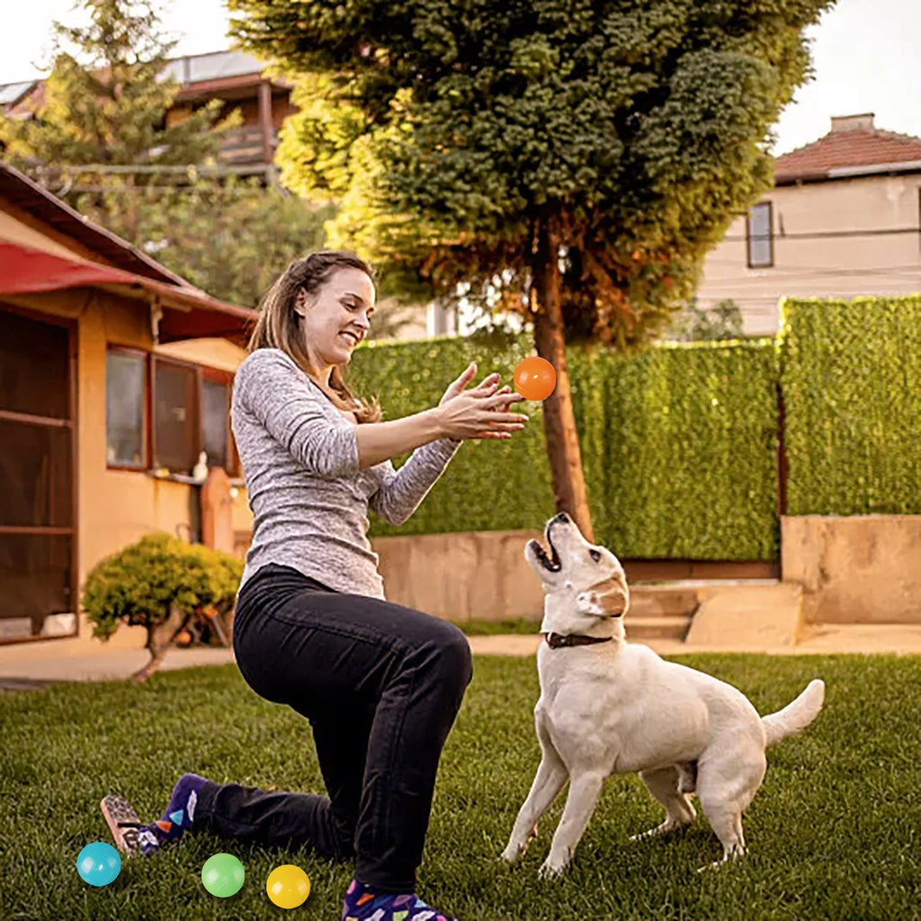 MerryPaws™ – Calendario de Adviento para Perros