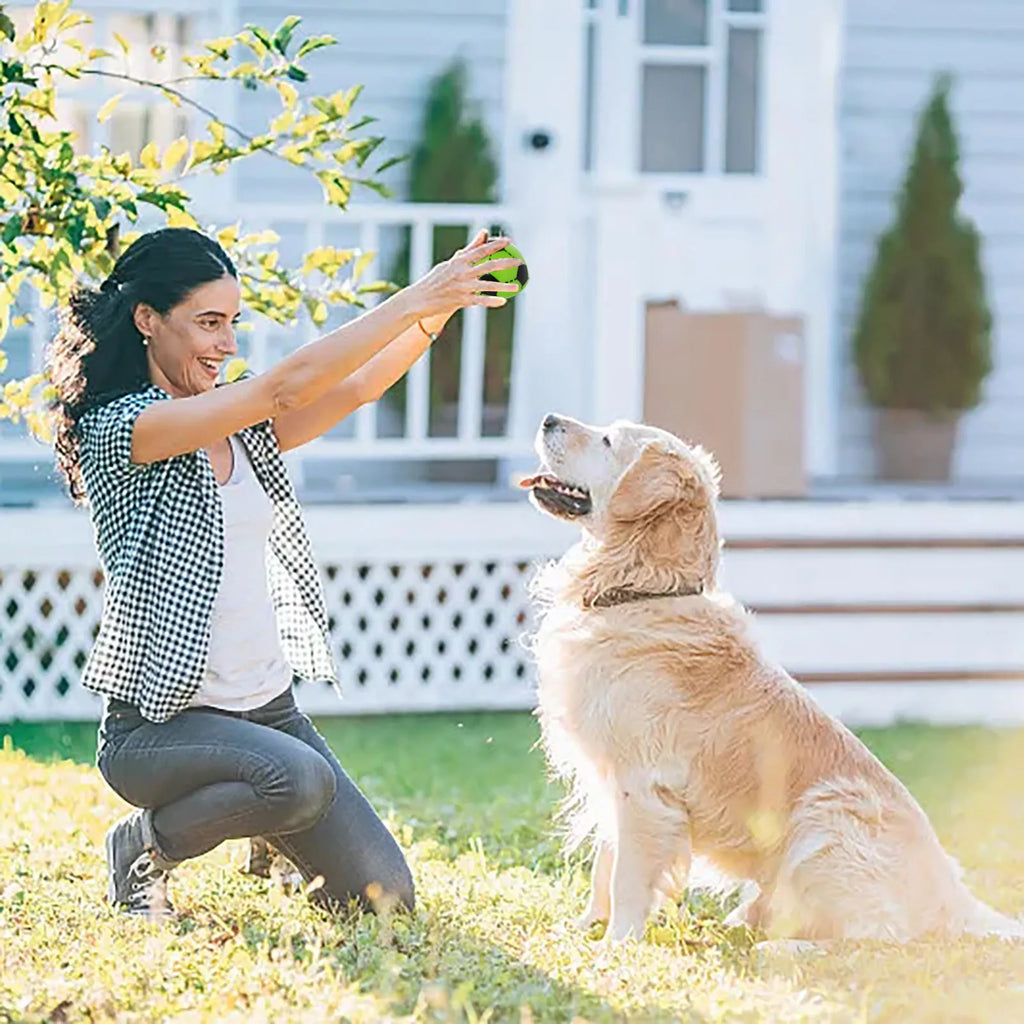 MerryPaws™ – Calendario de Adviento para Perros