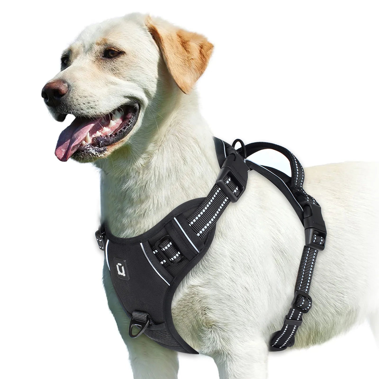 NoPullPro™ – Arnés Antitirones Acolchado para Perros