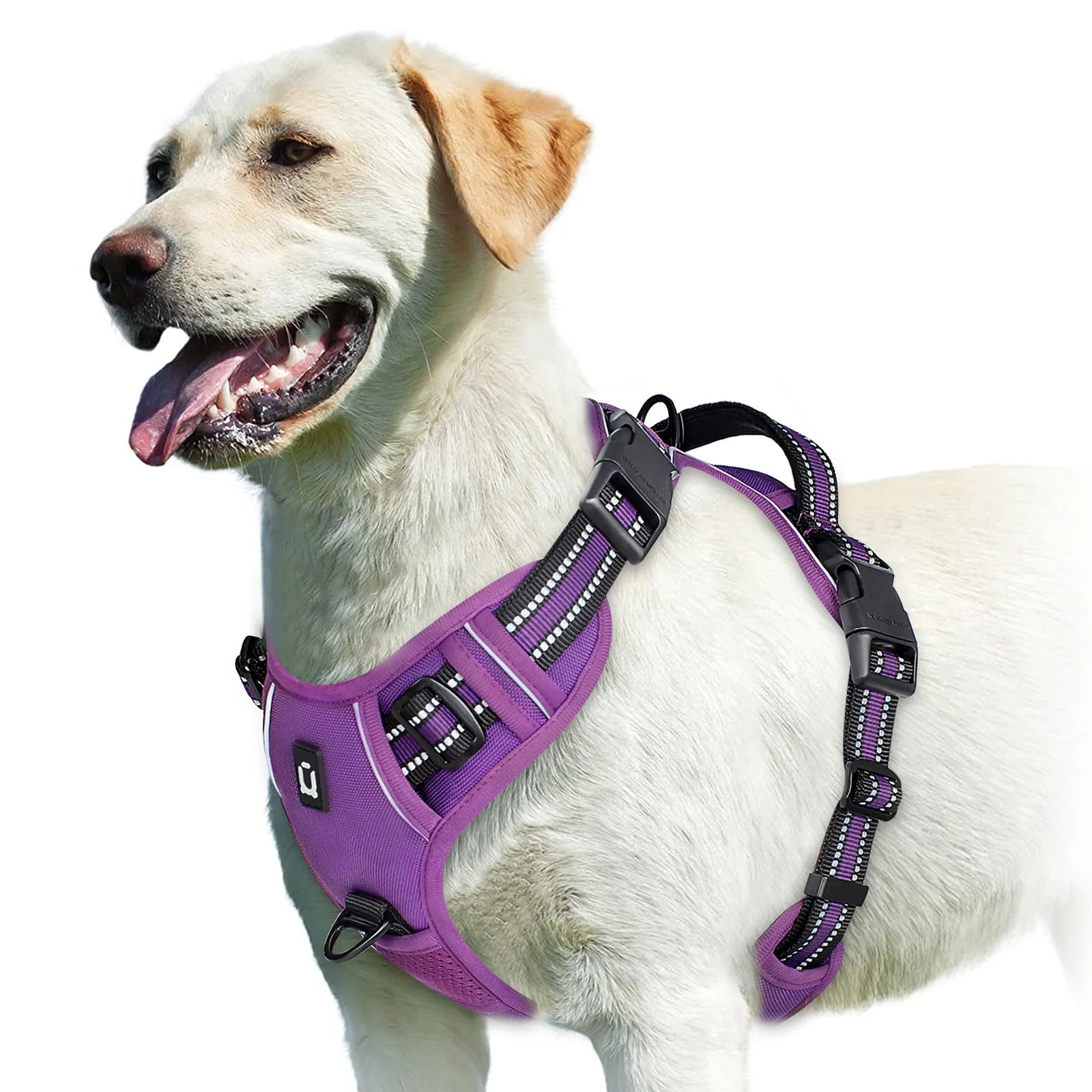 NoPullPro™ – Arnés Antitirones Acolchado para Perros